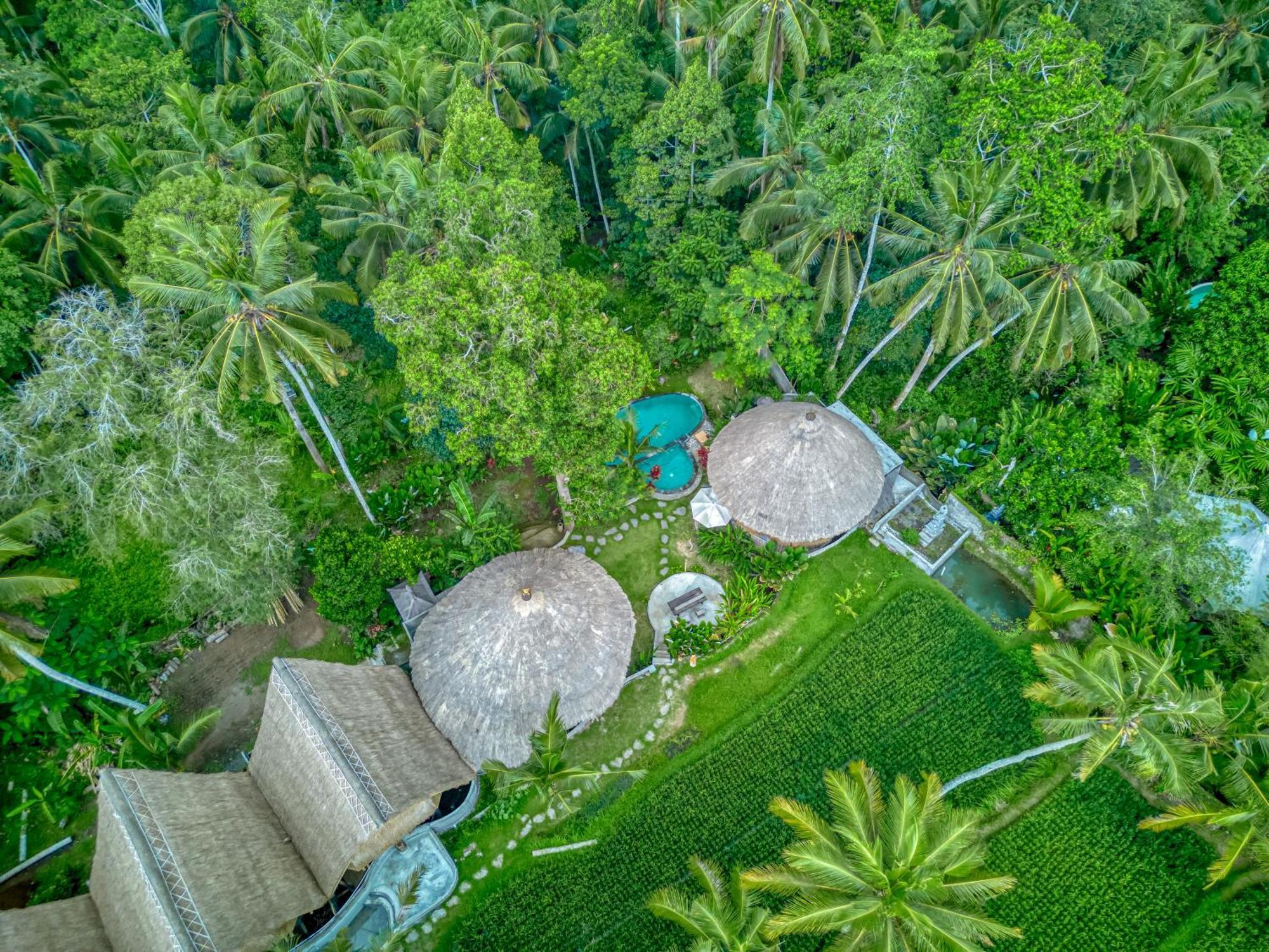 Bamboo Cabin Sanctuary By Nusantara Hospitality Ubud Dış mekan fotoğraf